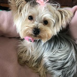 Meet your Posher, Beth